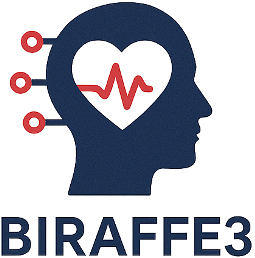 biraffe3_logo2.png